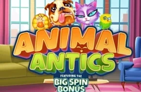 Animal Antics